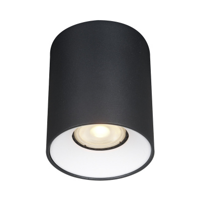 Накладной светильник ST-Luce ST167.452.01 Накладной светильник ST-Luce ST167.452.01