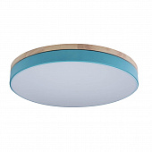 https://vokruglamp.ru/upload/iblock/7b9/potolochnyy_svetodiodnyy_svetilnik_loft_it_axel_10001_36_blue_1.jpeg