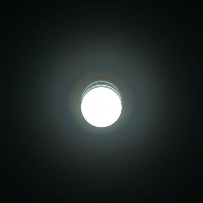 Потолочный светодиодный светильник Citilux Борн CL745021N