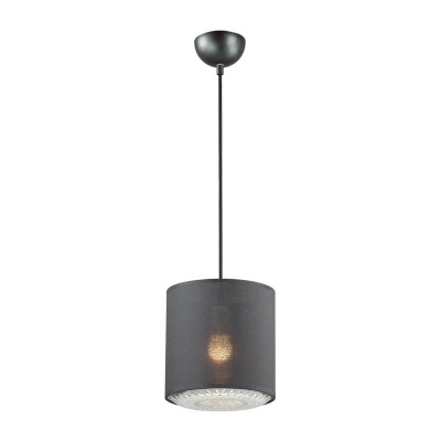 Подвесной светильник Lumion Dora 3738/1