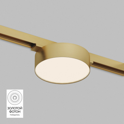 Светильник на шине Denkirs DK5762-SB