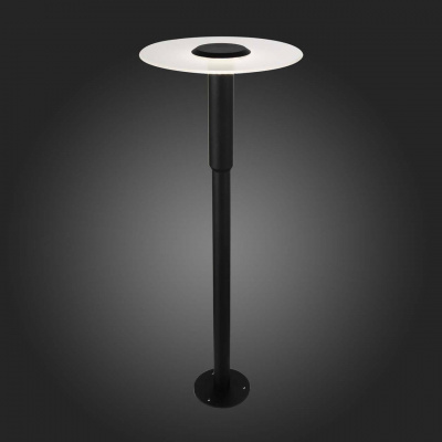 Уличный светодиодный светильник ST Luce SL099.405.01