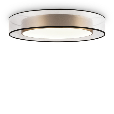 Накладной светильник Freya FR6005CL-L48G