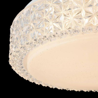 Потолочный светодиодный светильник Freya Alicia FR6309-CL01-12W-W