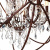 https://vokruglamp.ru/upload/iblock/92b/podvesnaya_lyustra_loft_it_foucaults_orb_crystal_loft1897_8_1.jpeg