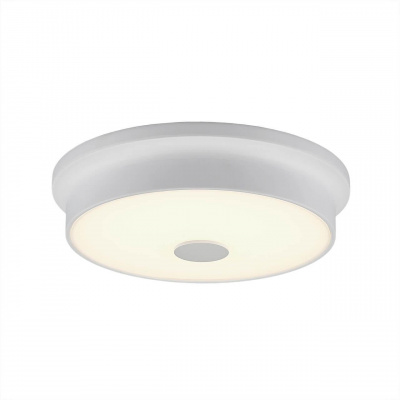 Потолочный светодиодный светильник Citilux Фостер-2 CL706220
