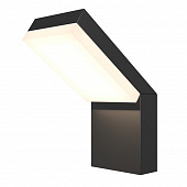 https://img.divine-light.ru/0/828/000828894_800_800.jpg
