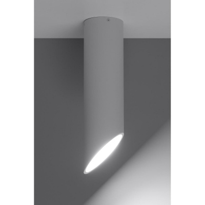 Потолочный светильник Sollux Penne SL.0104