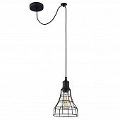 Подвесной светильник Maytoni Denver T449-PL-01-B фото