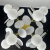 https://vokruglamp.ru/upload/iblock/f24/fuofopmh72zva3bgqhq4mf2wqam67bwj/podvesnaya_lyustra_imperium_loft_matisse_191858_26_5.jpg