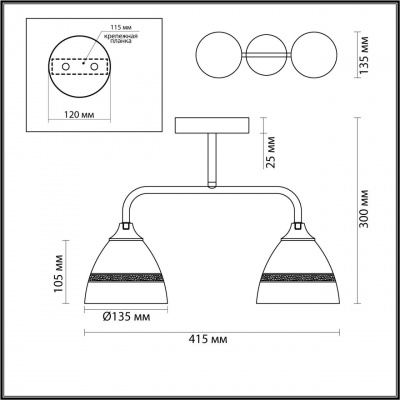 Потолочная люстра Lumion Comfi Nettie 5214/2CA