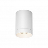 https://img.divine-light.ru/1/531/001531941_800_800.jpg