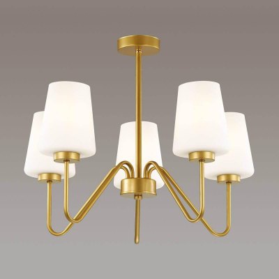 Подвесная люстра Lumion Olivia 3791/5C