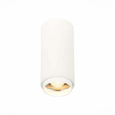 Накладной светильник ST-Luce ST600.532.10