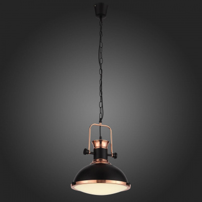 Подвесной светильник ST Luce Lanterio SL404.403.01