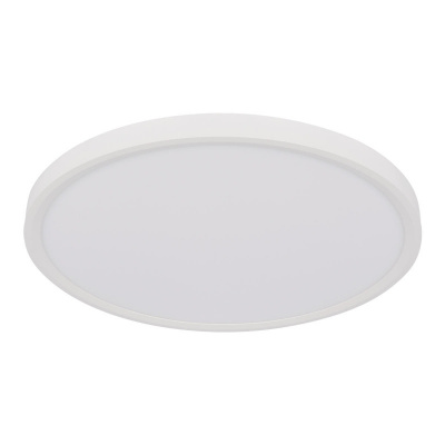 Накладной светильник LOFT IT 10227/40 White