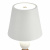 https://vokruglamp.ru/upload/iblock/f8d/9ve0y0tyxaud2ewhmrll6knij944yd1j/nastolnaya_lampa_st_luce_ease_sl1011_514_01_2.jpg