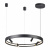 https://vokruglamp.ru/upload/iblock/2ad/f0m3ia89l1zam8ipaydn7biiio0qx5ff/podvesnaya_svetodiodnaya_lyustra_odeon_light_hightech_fonda_4317_58l_2.jpeg