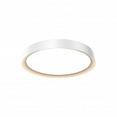 https://img.divine-light.ru/1/513/001513319_800_800.jpg