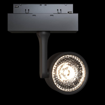 Трековый светодиодный светильник Maytoni Track lamps TR024-2-10B3K