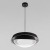 https://vokruglamp.ru/upload/iblock/621/9vep9yj0u70dayc6bj4e0ujdgh0p3oxv/podvesnaya_lyustra_loft_it_petale_10256p_black_7.jpg