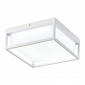 https://img.divine-light.ru/1/469/001469260_800_800.jpg
