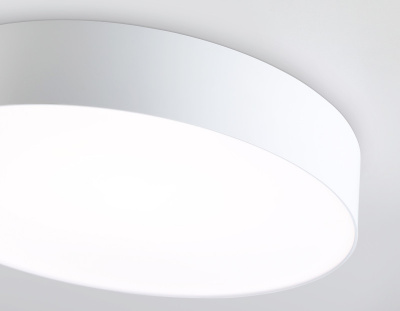 Накладной светильник Ambrella Light FZ1350