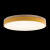 https://vokruglamp.ru/upload/iblock/cd2/potolochnyy_svetodiodnyy_svetilnik_loft_it_axel_10001_36_yellow_2.jpeg