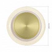 https://img.divine-light.ru/1/440/001440812_800_800.jpg