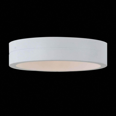 Уличный настенный светодиодный светильник ST Luce SL562.501.01