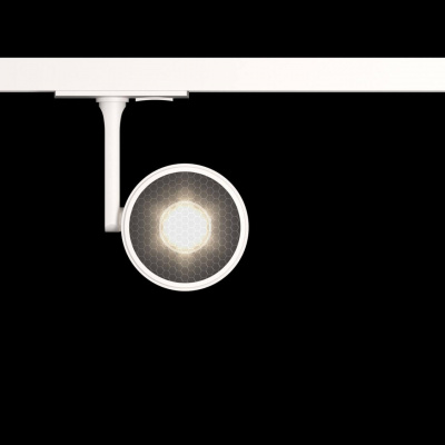 Трековый светодиодный светильник Maytoni Track lamps TR024-1-10W3K