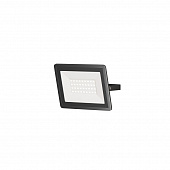 https://img.divine-light.ru/1/030/001030876_800_800.jpg