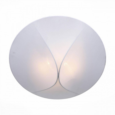 Накладной светильник ST Luce Tonico SL360.552.02