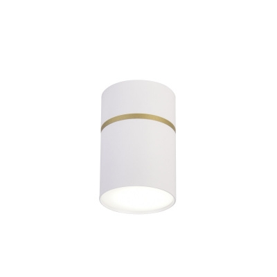 Накладной светильник Favourite 3067-1C