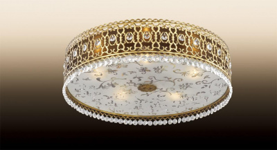 Потолочный светильник Odeon Light Salona 2641/5C