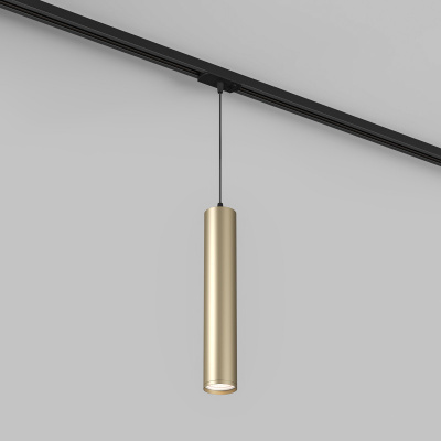 Светильник на шине Denkirs DK6210-BG