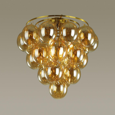 Потолочный светильник Odeon Light Grape 4812/6C