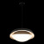 https://vokruglamp.ru/upload/iblock/b8a/7zs771awg9uw98ymb3l3n00t92wfuwlk/podvesnaya_lyustra_loft_it_petale_10256p_black_5.jpg