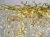 https://vokruglamp.ru/upload/iblock/a35/lad1gq5pxr4q2lsdlvrd8hlvjgryorwn/podvesnaya_lyustra_lumina_deco_brevia_ldp_8027_600_gd_4.jpg