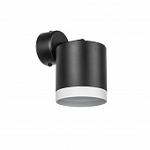 https://img.divine-light.ru/1/159/001159828_800_800.jpg