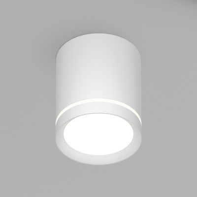 Накладной светильник Denkirs DK4013-WH