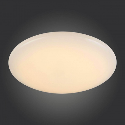 Потолочный светодиодный светильник ST Luce Inse SL875.062.01