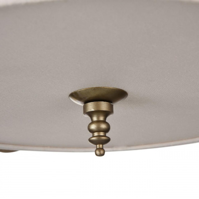 Подвесной светильник Maytoni Rive Burgeon ARM959-PL-04-G