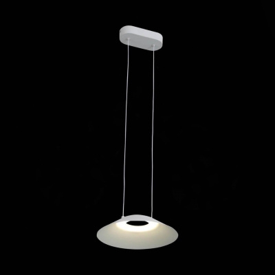 Подвесной светодиодный светильник ST Luce Pitto SL427.503.01