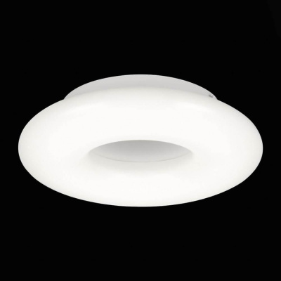 Потолочный светодиодный светильник ST Luce Albo SL902.532.01D