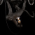 https://vokruglamp.ru/upload/iblock/828/w4nz65gtln5n5fb7lpiwm35ybb287ael/podvesnaya_lyustra_loft_it_monkey_10314_black_3.jpg