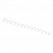 https://img.divine-light.ru/0/981/000981000_800_800.jpg