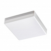 https://img.divine-light.ru/0/699/000699868_800_800.jpg