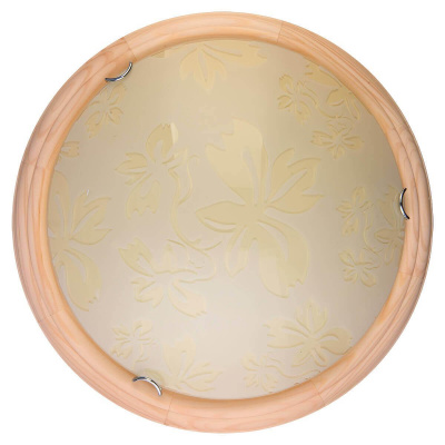 Настенно-потолочный светодиодный светильник Toplight Jane TL9640Y-00PN