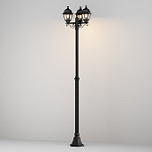 https://img.divine-light.ru/1/424/001424028_800_800.jpg